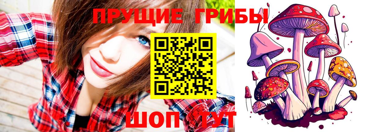 Мариинск  как найти   Псилоцибиновые грибы Psilocybe  Вход с VPN  Галлюциногенные грибы Psilocybine cubensis 